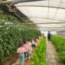 소촌어린이집 이미지