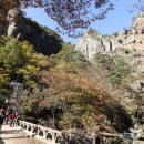 주왕산시외버스터미널 이미지