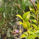 다육농가민박 이미지