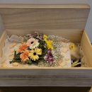 예산 위드엔젤 이미지