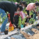 힐링농장 이미지