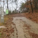 (주)하이런드리 티스토리