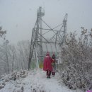 동당리농원 Daum카페