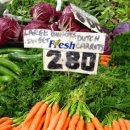 일신농장 이미지