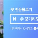 에이투비수족관
