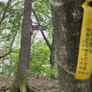 산앙정 이미지