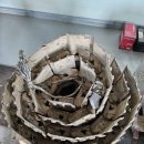 볼보 EC55C,EC60E 중고 트랙 농장용 판매합니다. 이미지