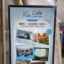 리얼카서비스 | [공지] 아이와 가기 좋은 장소 5월 가족 나들이 추천 부산 송도 케이블카 탑승 리얼 후기