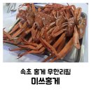 미쓰홍게 | 미쓰홍게 : 속초 홍게 무한리필 내돈내산 후기