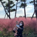 성산패밀리빌리지