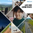 내고향광고