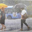 김영철손세차장 이미지