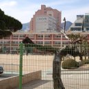 연제초등학교 이미지