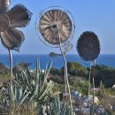 아이아 나파의조각공원( Skulpturen park-Ayia Napa- Zypern) 이미지