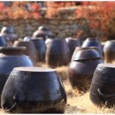 소나무둥지 이미지