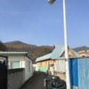 월오포레스트 이미지