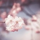 와니엘배팅센터 일산가좌점