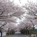 상예동-13 이미지