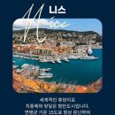 모나코 - 파주시 문향로84번길 4 | 모나코