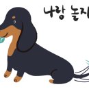 건강메디칼약국 이미지