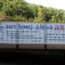 천태산주차장 이미지