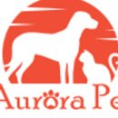 오로라애견 이미지