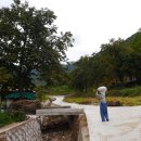 안동1리 이미지