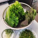 고기파는박군