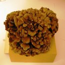 만당샤브샤브 이미지