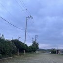 옹고집쌈밥 | [전북 군산] 군산맛집추천 옹고집쌈밥 :: 소불고기쌈밥 vs 제육쌈밥 후기