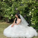 김수현x김지원 결혼 설정에 진심이었던 것 같은 눈물의 여왕 제작진들 이미지