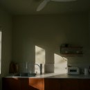 스테이그라피 이미지