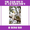 중앙드림치과의원 이미지