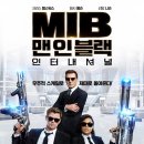 피닉스인터내셔널