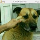공감 이미지