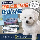 대즐 | 강아지 사료, 대즐 스몰브리드 퍼피사료 급여 후기!