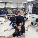 한국체대 MTA 태권도 | 옥정동 태권도 바른 인성과 체력을 한 번에 한국체대MTA태권도