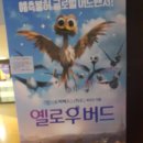 옐로우버드 | [ 옐로우버드 ] 시사회 관람후기