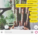💍 삼성전자 감사페스티벌 디지털 온누리상품권 보완요청 및 환급 후기 (환급 언제?)