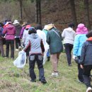 산채으뜸마을 이미지