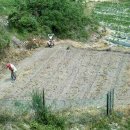 금순농장 이미지