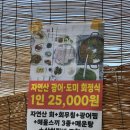 동진호 | 서천 동진호 회정식 25000원? 마량진항에서 먹고 온 점심