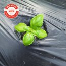 올림피아 수영장 이미지