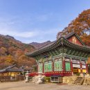 양평축협한우프라자 이미지