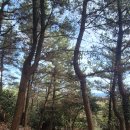 한라산을바라보는쉼터 이미지