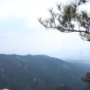 르네프