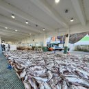 외포중학교 | 2026 겨울 거제는 대구 축제 중