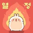 12월 상반기 인턴 일기: 충무로 캐시미어커피, 어프어프 치치, 피크민 엽서 모으기