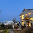 더 평대 이미지