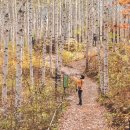 인제로R 이미지